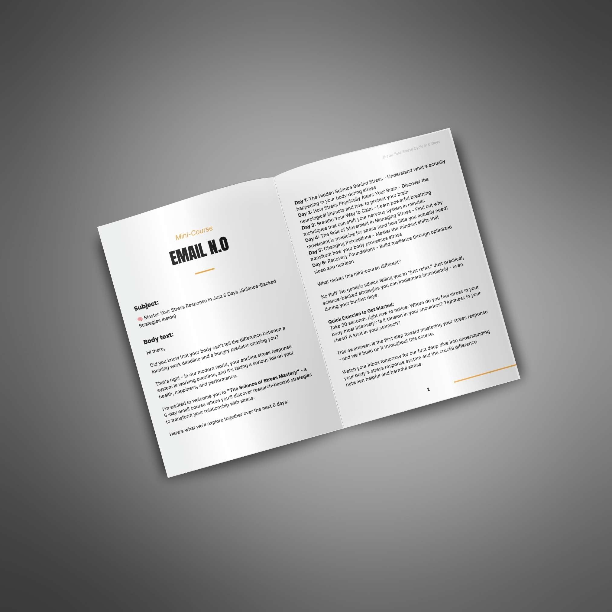 Break Your Stress Cycle in 6 Days (Instant Download) eBook