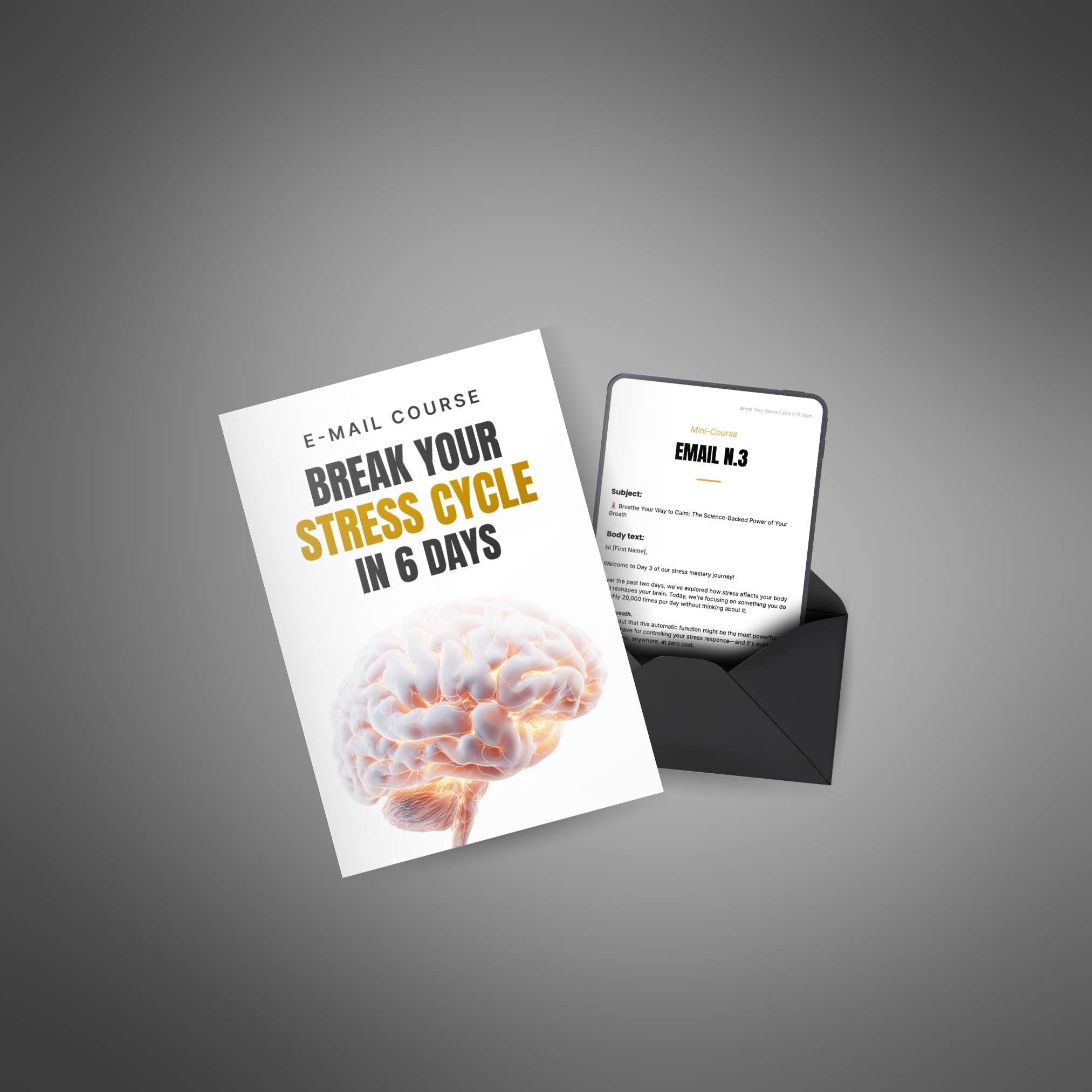 Break Your Stress Cycle in 6 Days (Instant Download) eBook