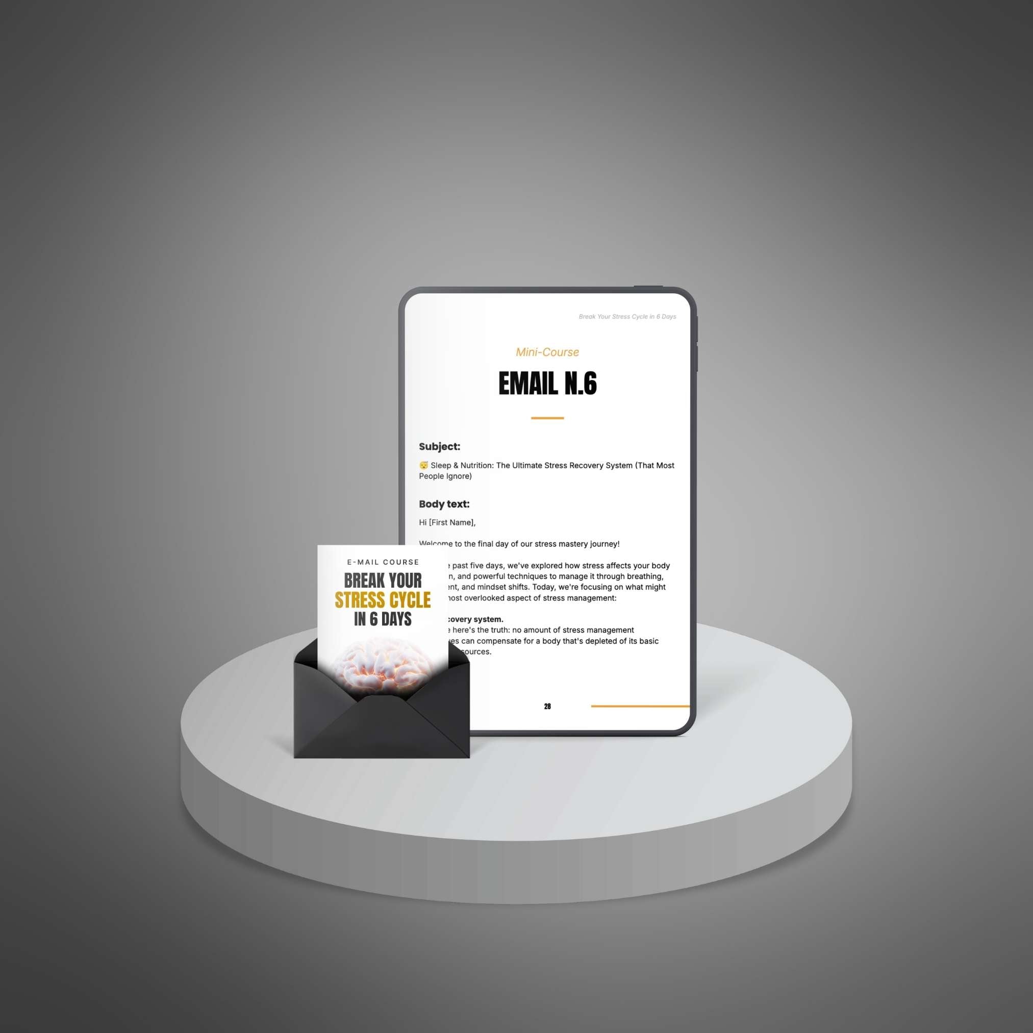 Break Your Stress Cycle in 6 Days (Instant Download) eBook