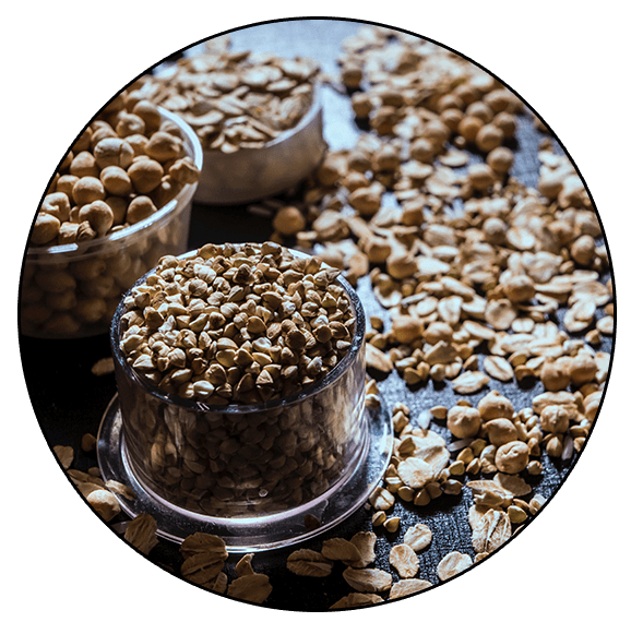 Gluten Free Lifestyle Video Course (Instant Download)