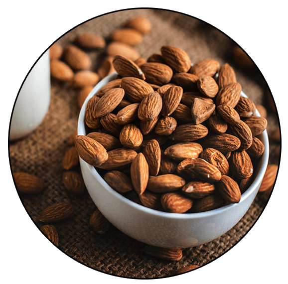 Gluten Free Lifestyle Video Course (Instant Download)