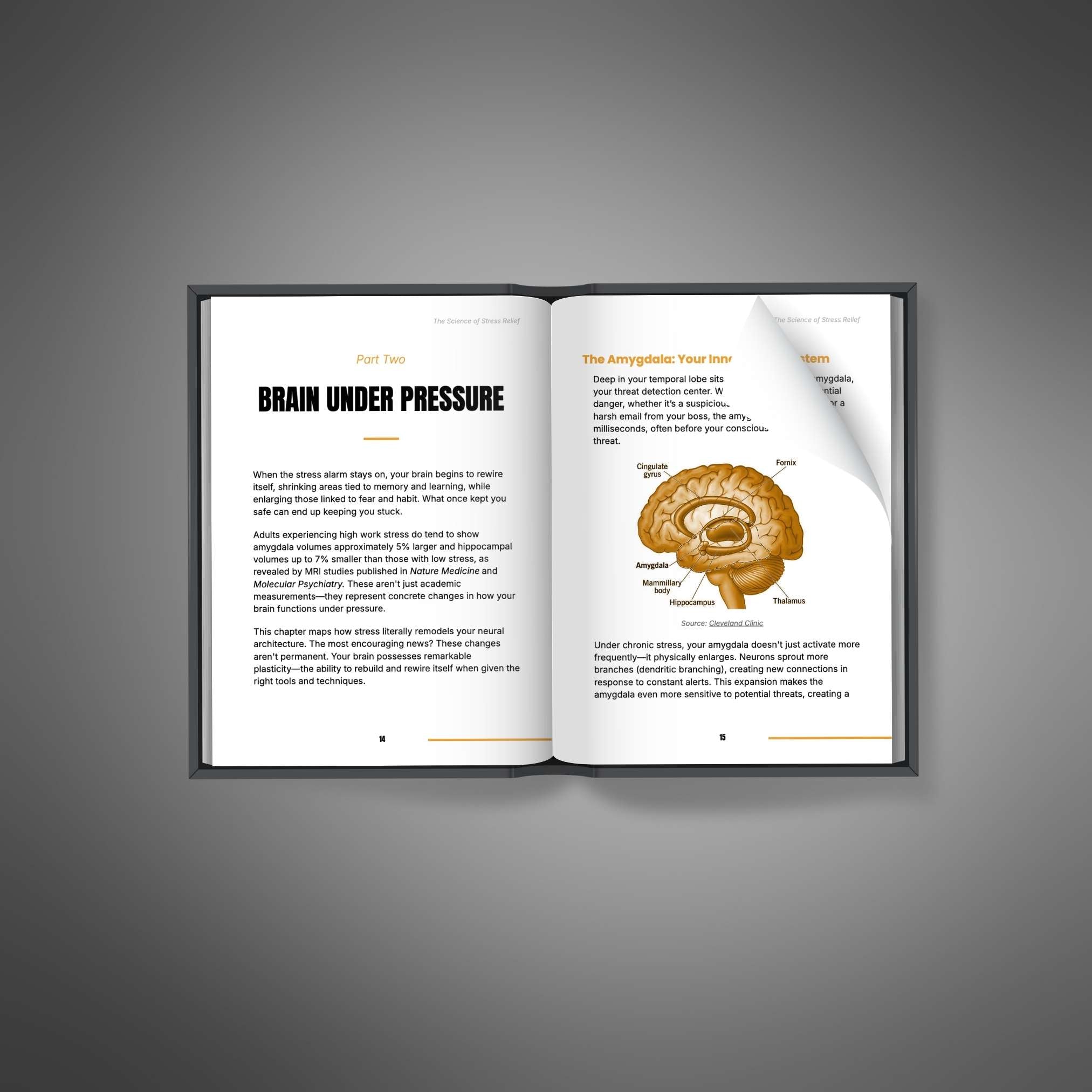 The Science of Stress Relief (Instant Download) eBook