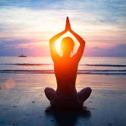 Fat Burn Secrets Video Course (Instant Download)