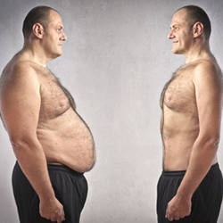 Fat Burn Secrets Video Course (Instant Download)